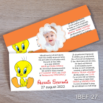 invitatii botez Tweety