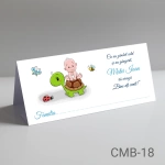 Plicuri bani botez baieti - Broasca Testoasa - CMB-18